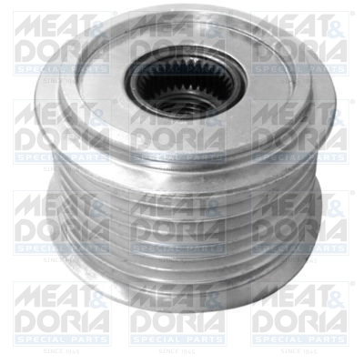 Alternator Freewheel Clutch